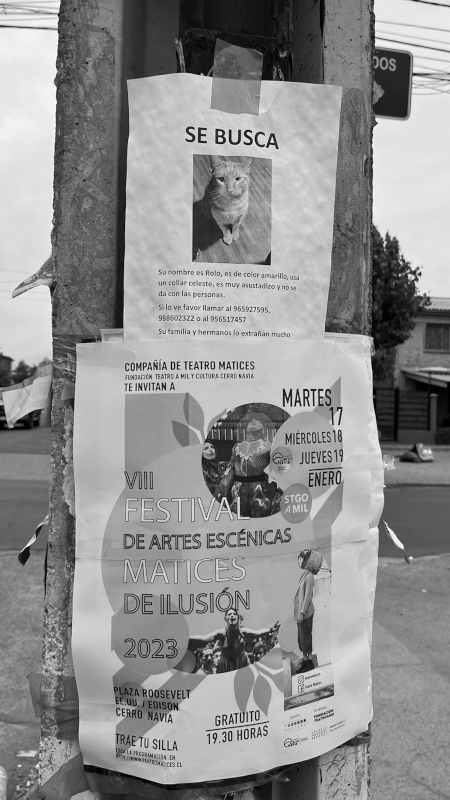 Placa5